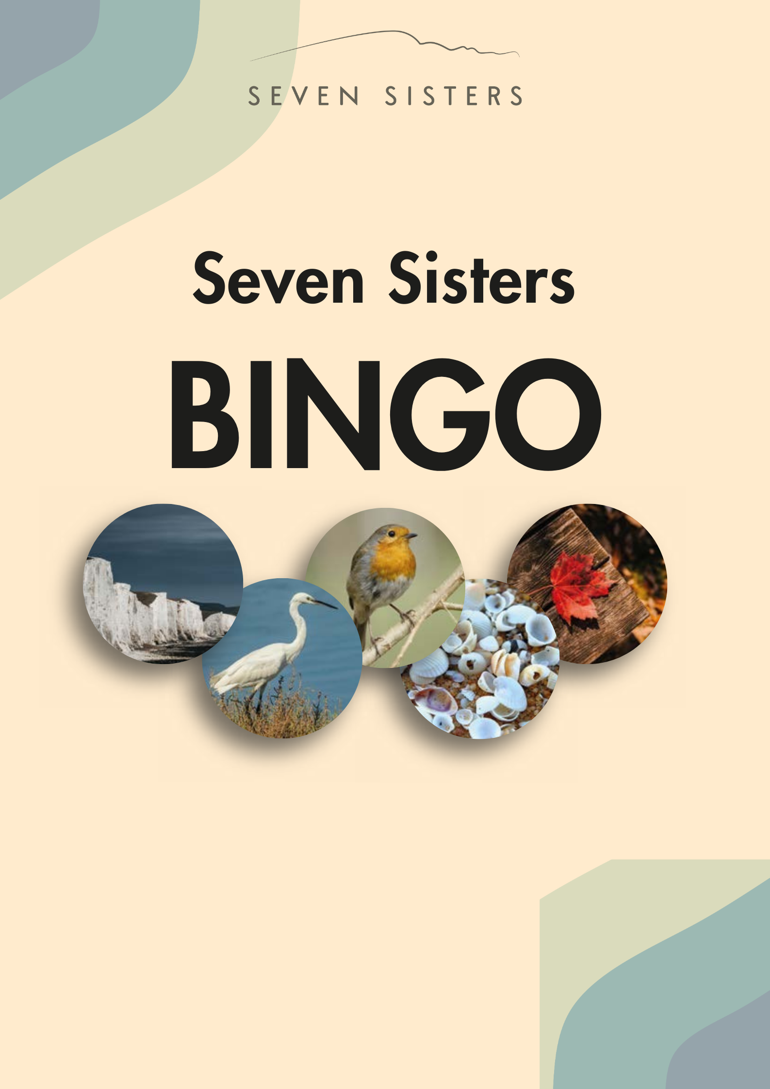 Half Term activities- Seven Sisters Bingo image