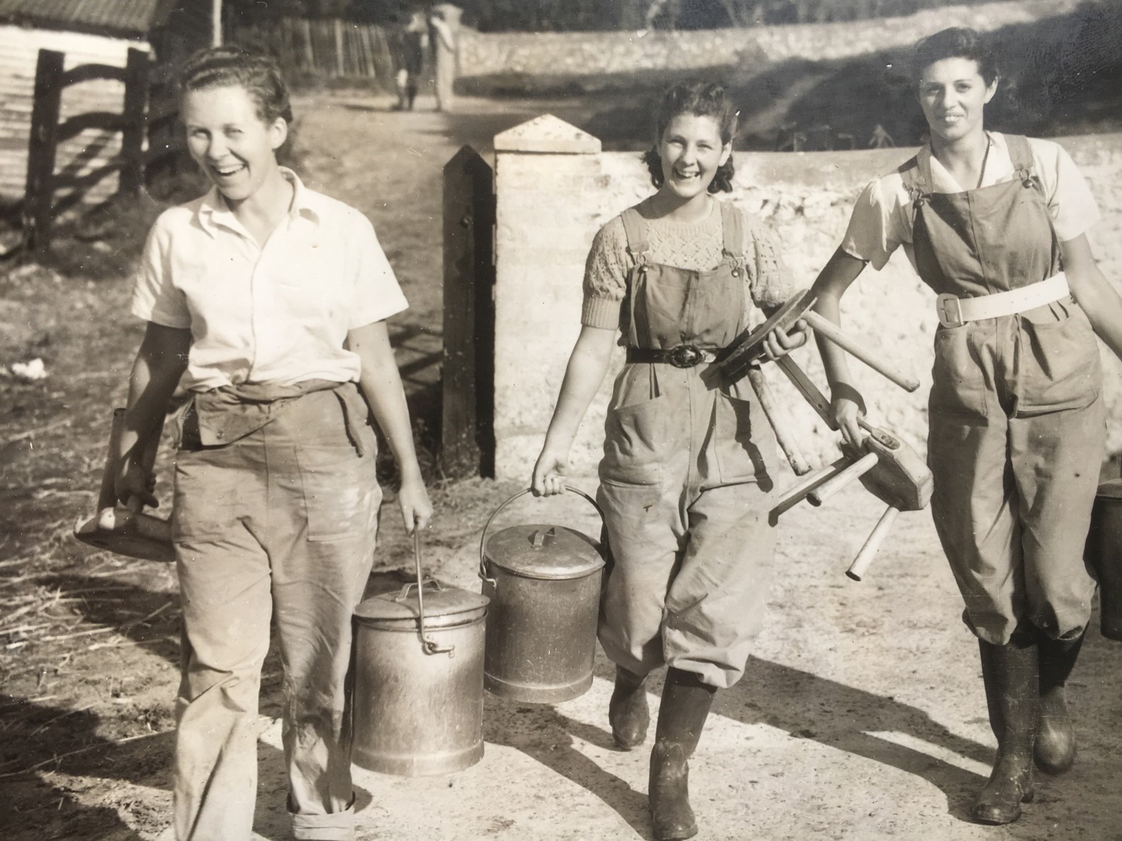 Seven Sisters Talks- The Women’s Land Army- A Sussex connection with Ian Everest image